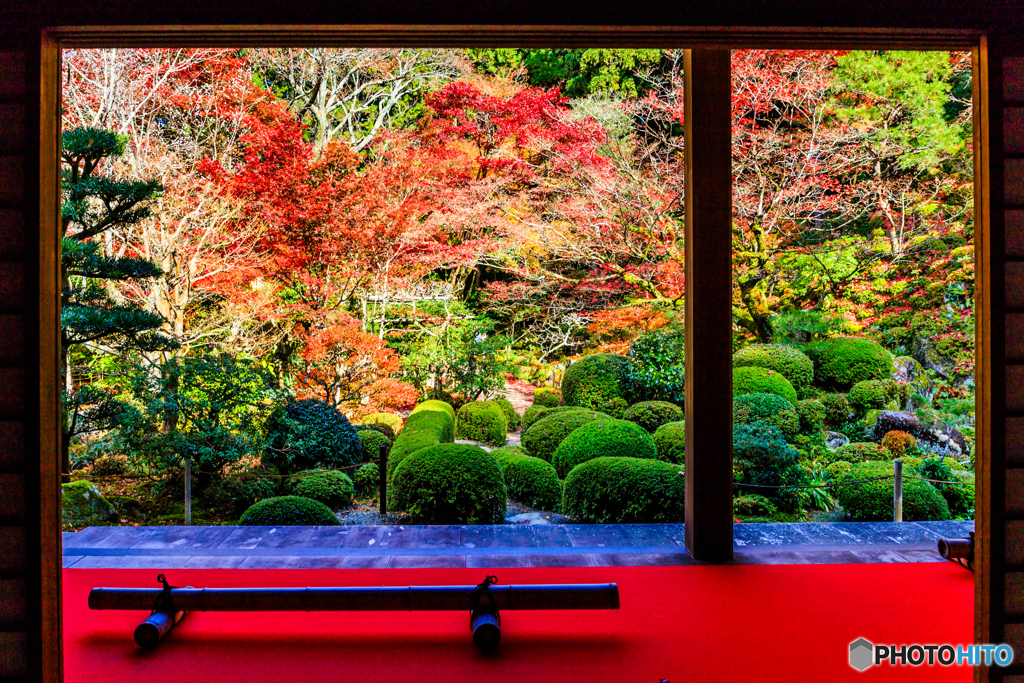 金剛輪寺の名勝庭園
