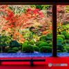 金剛輪寺の名勝庭園