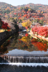 中ノ島橋の紅景