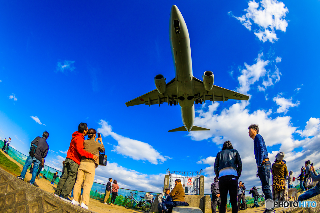 カップル新名所