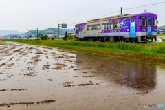 田植え前にGO！