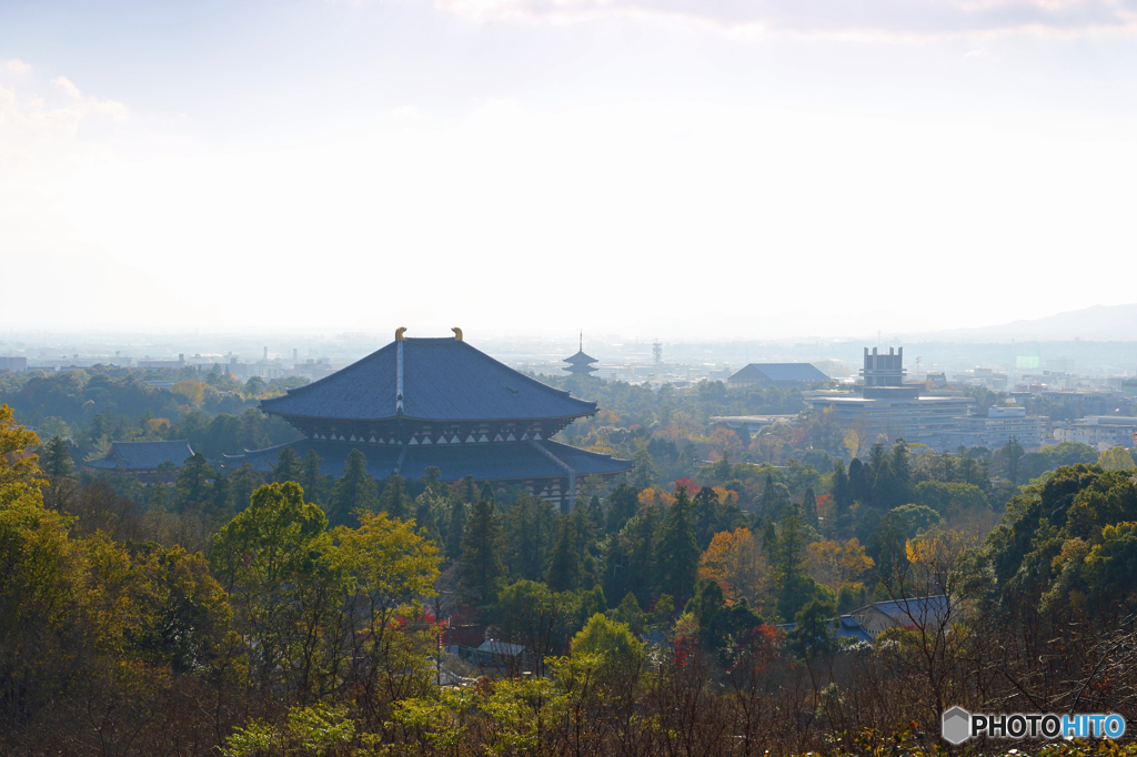 奈良公園秋景