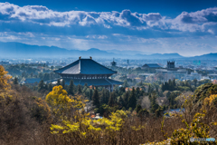 奈良公園秋景Ⅱ