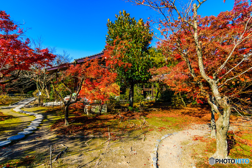 穏やかな勧修寺
