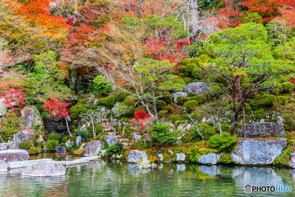 百済寺の紅葉庭園