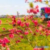 播磨下里の桜鉄道