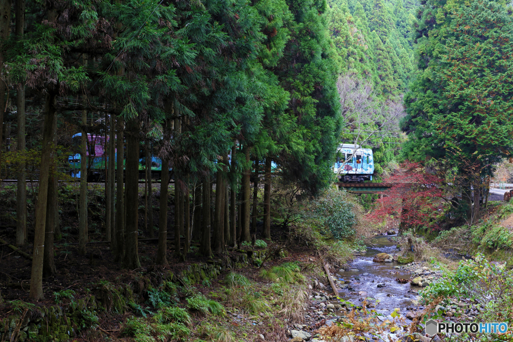 秋の叡山電車