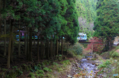 秋の叡山電車