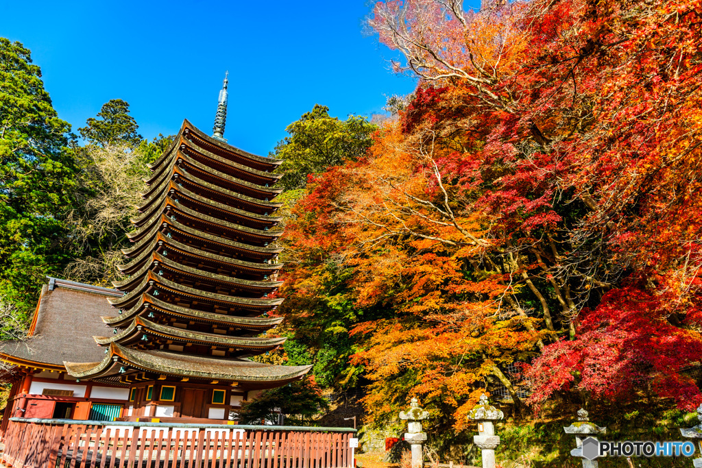 談山神社の紅葉