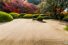 心和む庭の詩仙堂