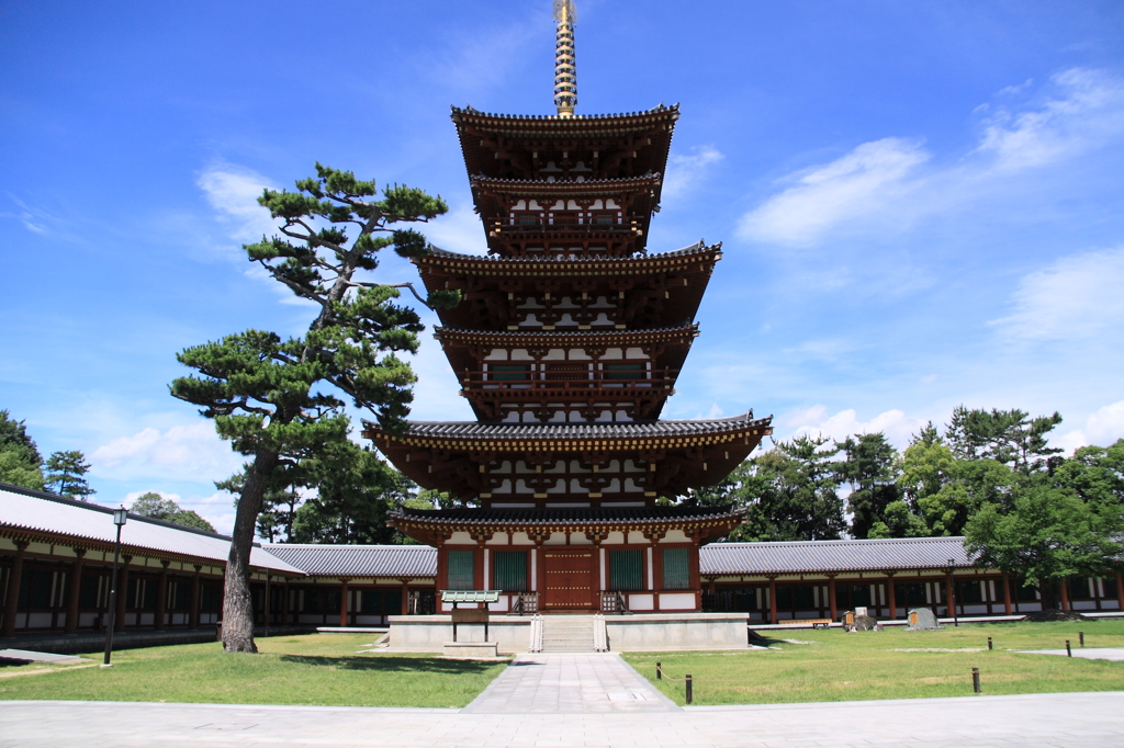 夏空に映えて