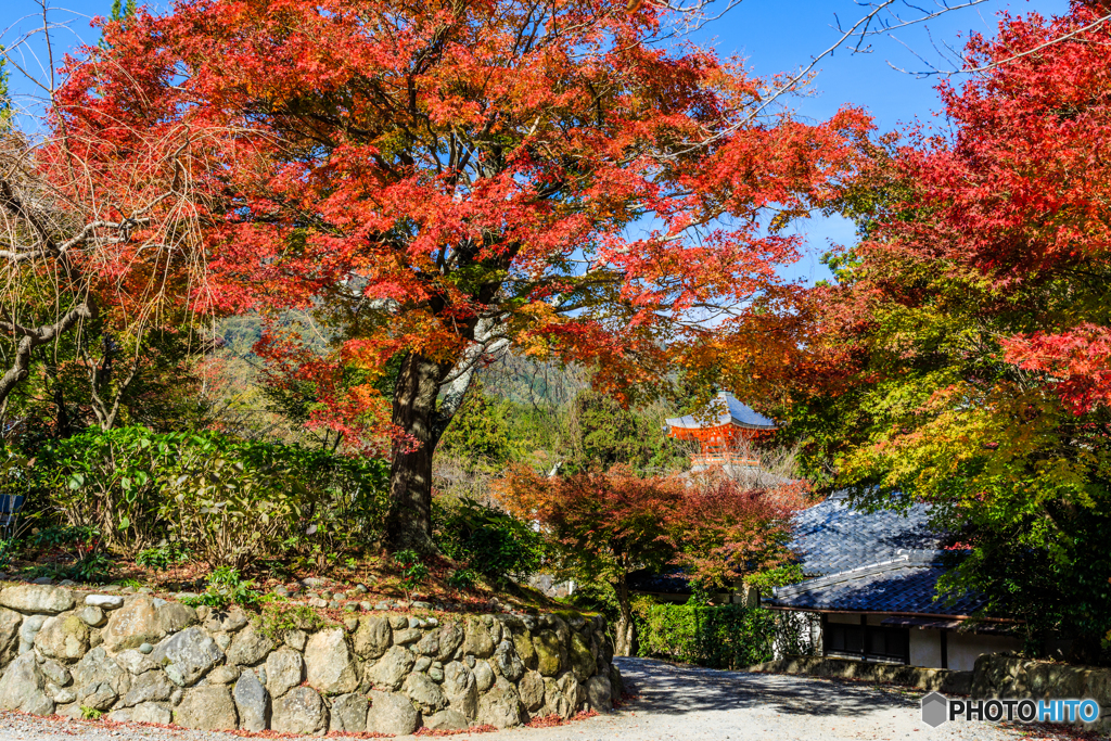 正法寺の紅葉