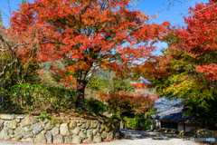 正法寺の紅葉