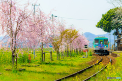 網引駅の春景色