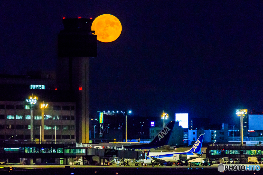 赤い月の空港