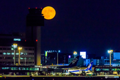 赤い月の空港