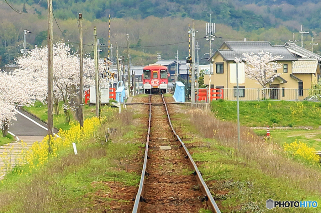 去って行く春