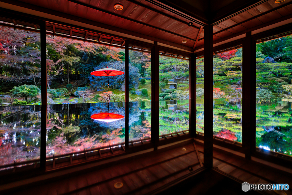 赤いアンブレラ