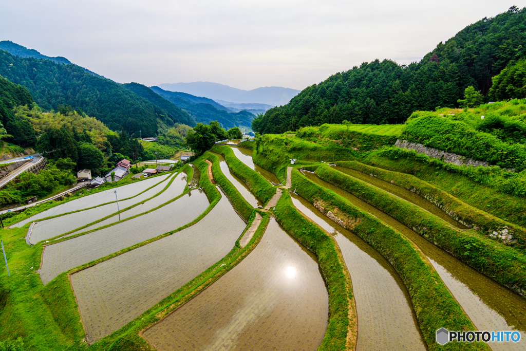 明日香の初夏