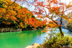 色づく保津川