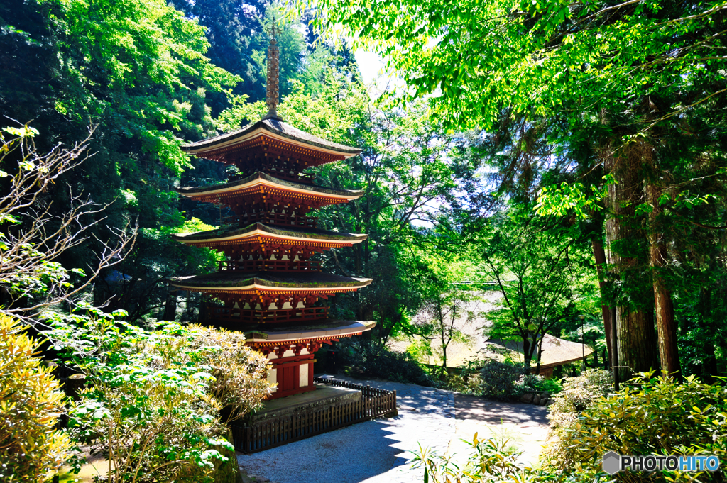 室生寺五重塔 Ⅲ
