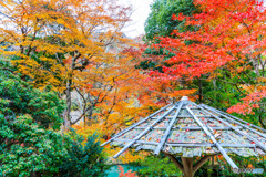 紅葉休憩所