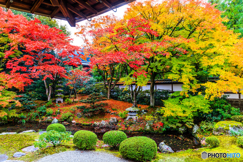 錦秋の御座所庭園Ⅱ