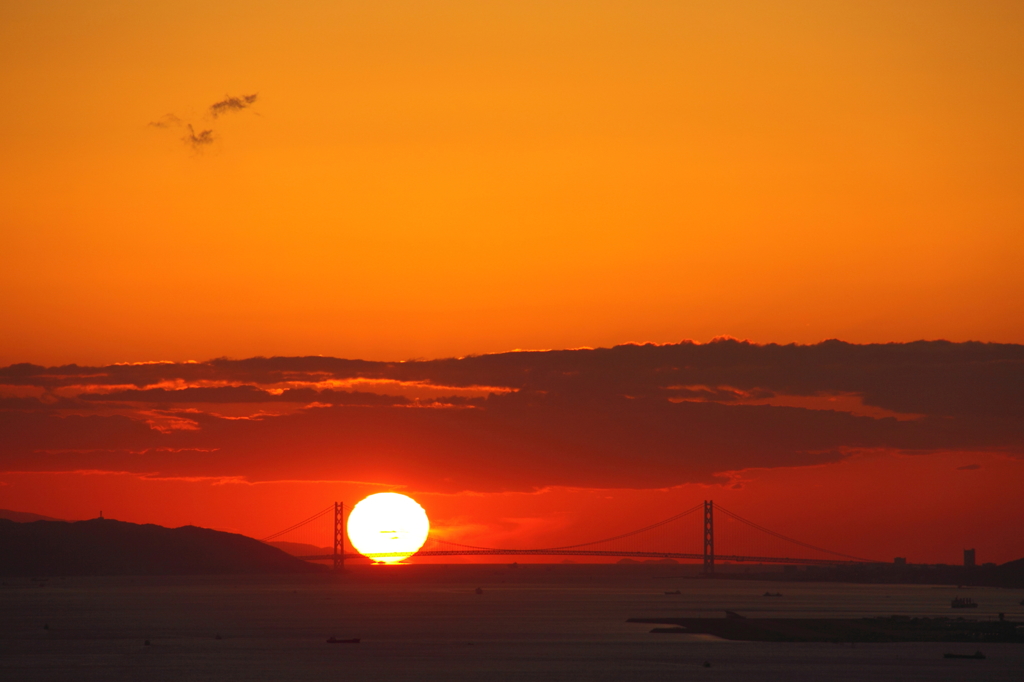ダルマ夕日参上