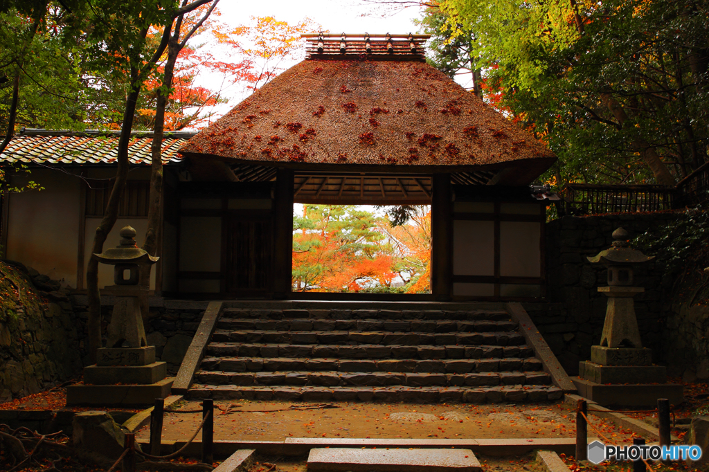 法然院の額縁紅葉