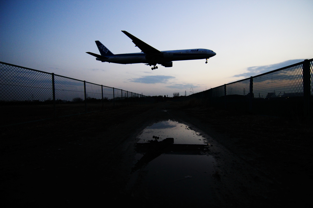 水たまり飛行Ⅲ