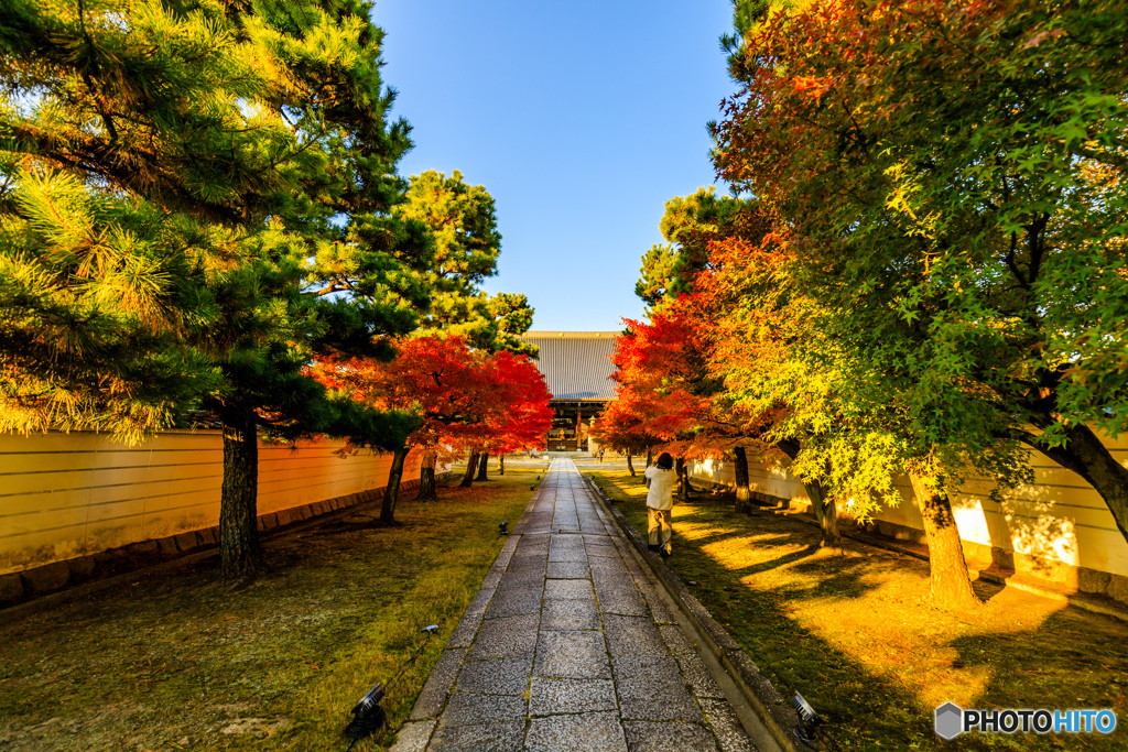 妙顕寺参道