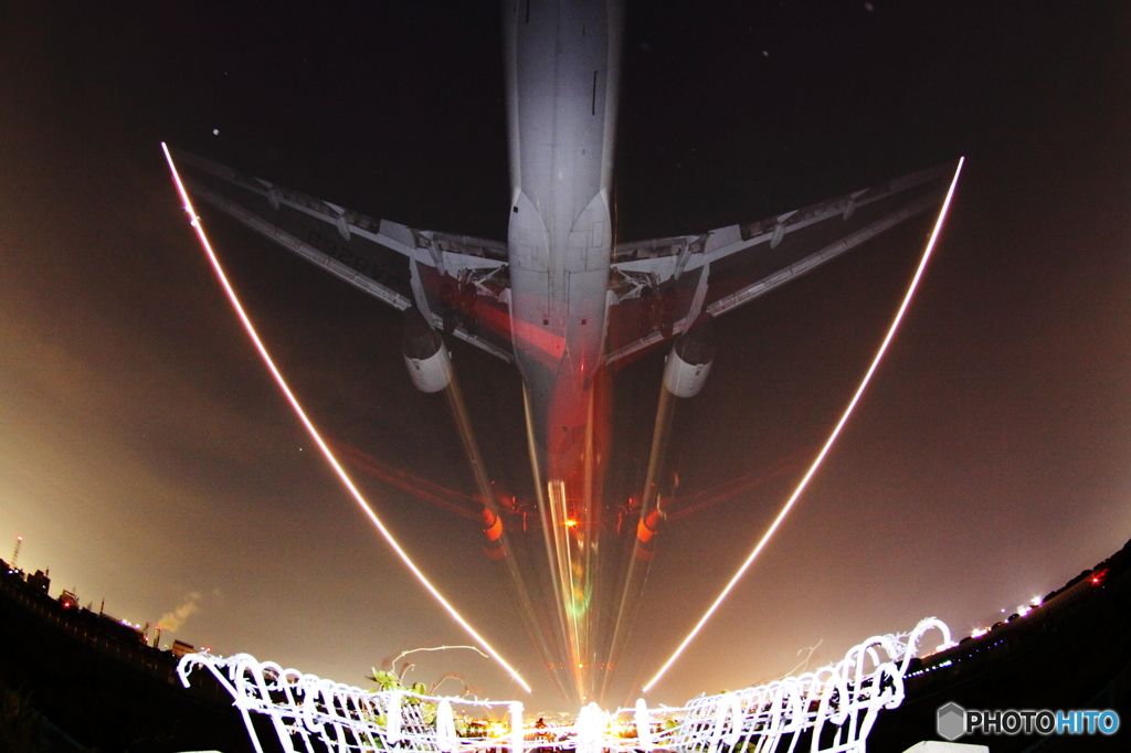 サバイバル・エリア