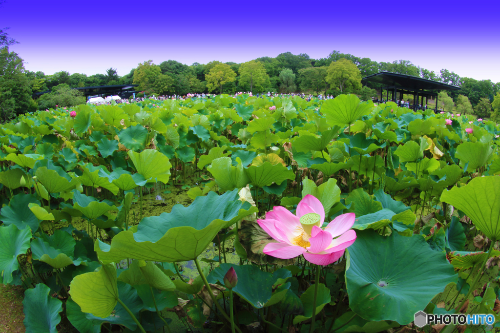 みんなこれからだよ