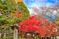 彩り研修道場門