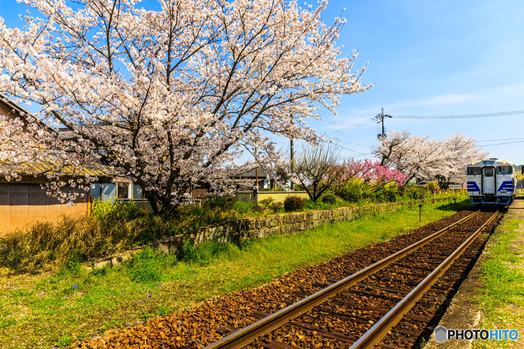 季節を彩る北条の風景