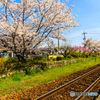 季節を彩る北条の風景