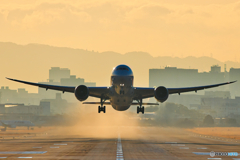 朝焼けのジャルはち