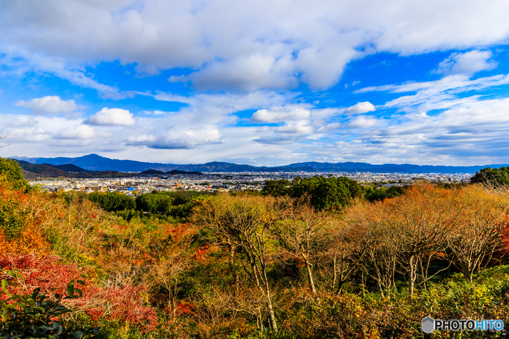 京都市内展望