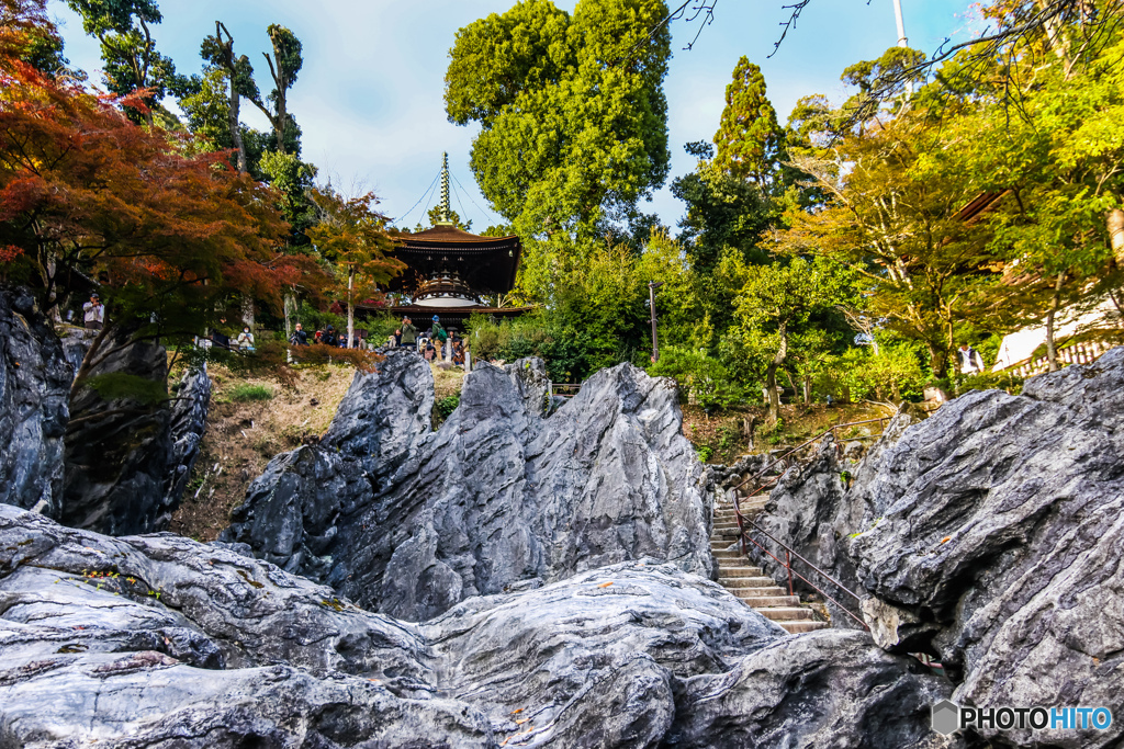 硅灰石の秋景