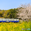 春の彩り鉄道