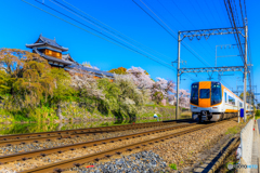 近鉄特急と桜