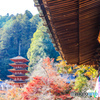 彩る五重塔