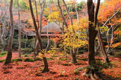 悲恋の尼寺