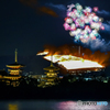 彩色千輪菊2020