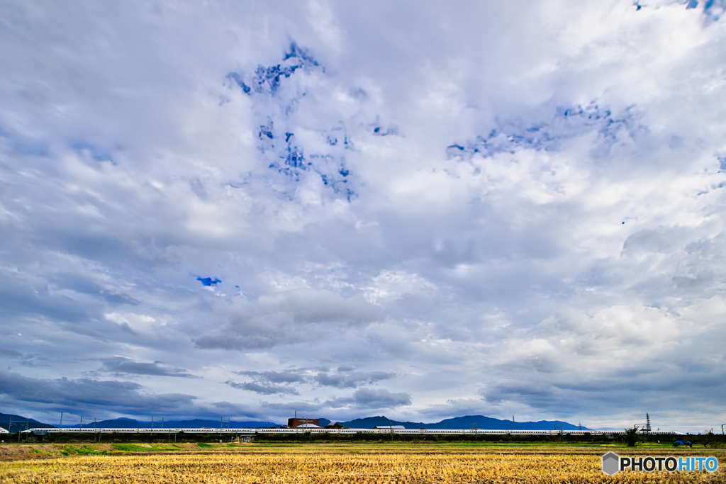 ながーい、おつきあい