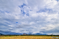 ながーい、おつきあい