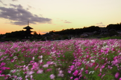 法起寺の風Ⅱ