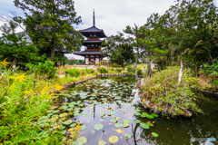 世界文化遺産法起寺