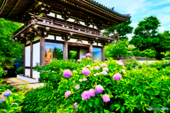 丹州華観音寺