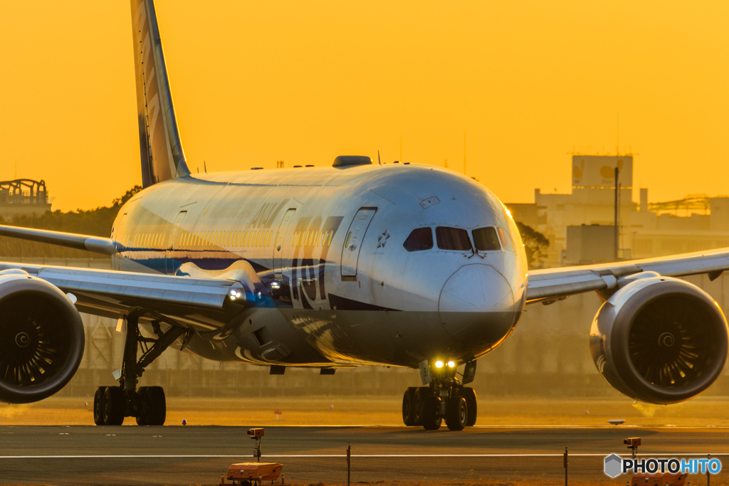 Morning glow@B787